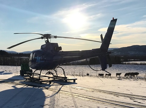 Helikoptertaxi og persontransport over fjellandskap i Trøndelag — Eurocopter EC120B og AS350 BA, inntil 5 passasjerer
